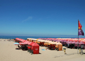 Praia de Espinho (Espinho)