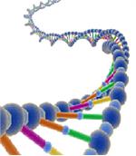 ADN – Ácido desoxirribonucleico