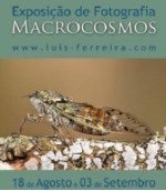 Fotografia "Macrocosmos"