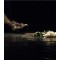 Nocturno
